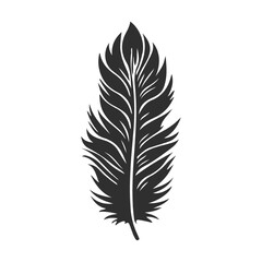 Fototapeta premium Collection Of Black and White Feather Illustration.