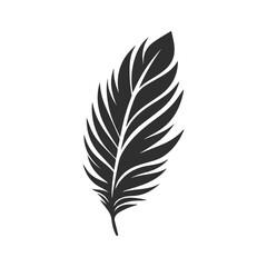 Obraz premium Collection Of Black and White Feather Illustration.
