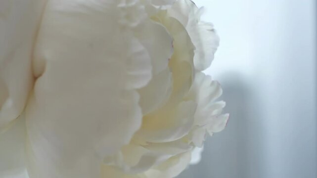 Bridal Bouquet