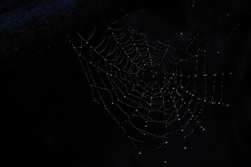 A mesmerizing spider web glistening delicately in the darkness, highlighting the intricacy of nature&rsquo;s artistry at twilight. Halloween background, copy space.