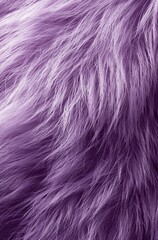 Fototapeta premium Purple fur texture
