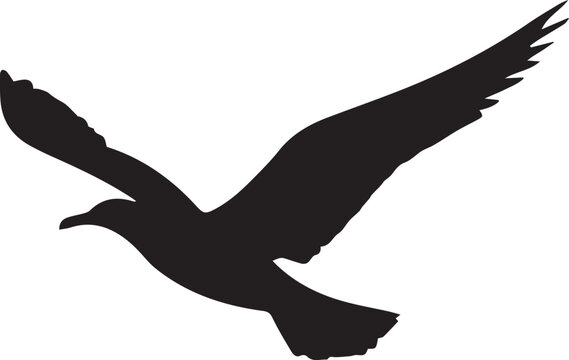 recommend clip art: silhouette of a bird