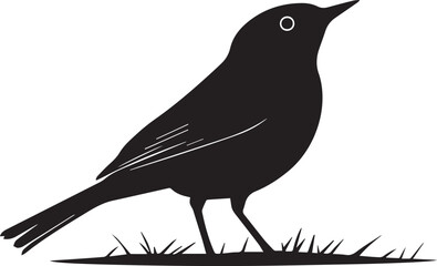 silhouette of a bird
