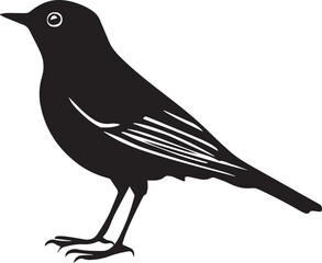 silhouette of a robin