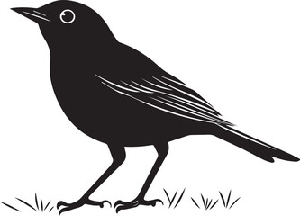 silhouette of a robin