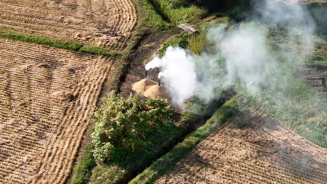 もみ殻　くん炭　焼却　煙　秋　田園風景　稲作　農業