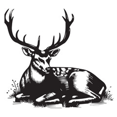 Deer line art vector illustration