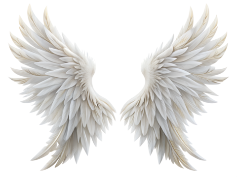 White devil wings on a transparent background.png image