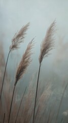 Pampas grass swaying in the wind with