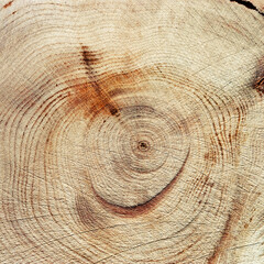 Naklejka premium Wood pattern, detailed view of wooden surface with natural tree rings of juniper, grain and line patterns, organic textures in earthy tones. Perfect for nature, woodworking, or organic design