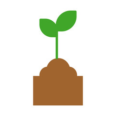 tree growing from a tree