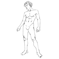 Nude thin male figure, contour drawing for graphic design.