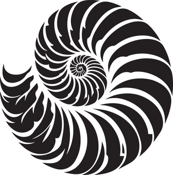 recommend clip art: Paper Nautilus silhouette vector and logo black and white