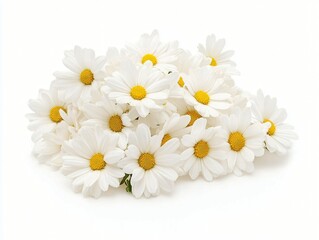 Obraz premium bouquet of white daisies