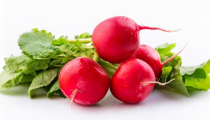 Radish on white background. Radish Isolated.