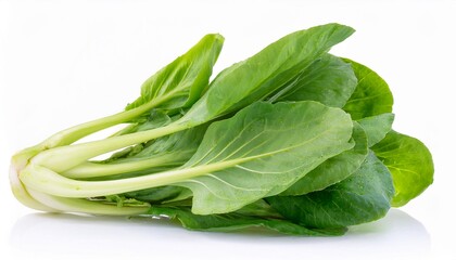 Tatsoi on white background. Tatsoi Isolated.