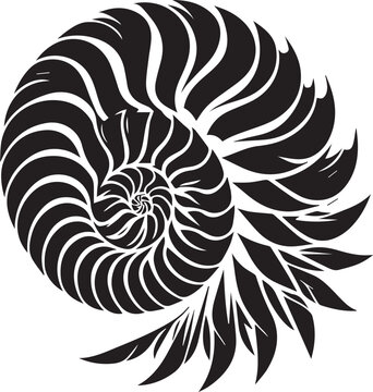 recommend clip art: Paper Nautilus silhouette vector and logo black and white