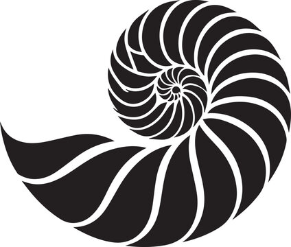 recommend clip art: Paper Nautilus silhouette vector and logo black and white