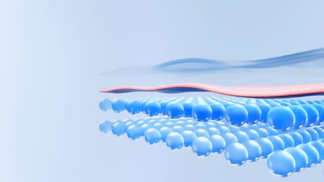 The angle moves from left to right and shows the skin layers and collagen bubbles of the skin block rising, then a protective shield appears. 3D video template suitable for content skin protection.