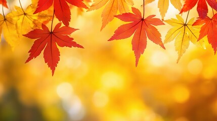 Vibrant Autumn Leaves Against a Golden Background