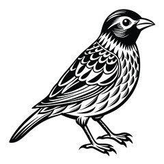 bird silhouette vector art white background.
