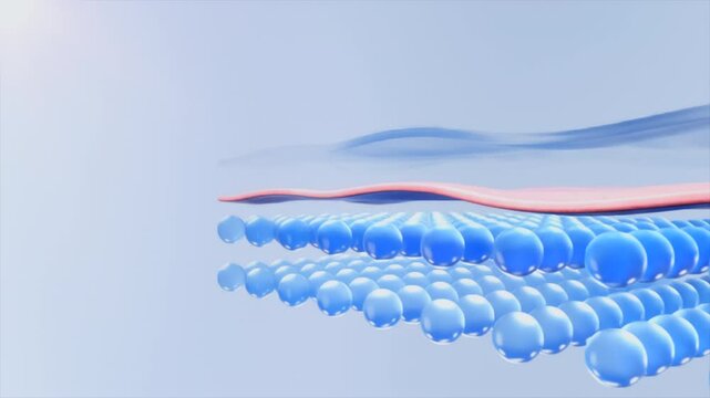 The 3D video template employs a zoom-out effect to display a block of skin with a basic structure shielded from UV radiation by a slowly appearing barrier that results from applying sunscreen.
