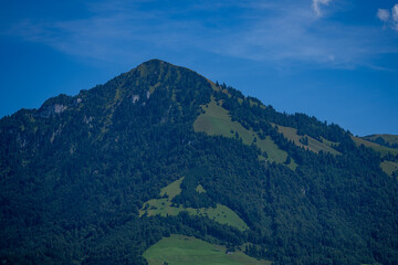 Forest background. Forest in the Alps mountains, Swiss. Mountain landscape. Forest landscape. Mountain side forest of trees in Switzerland. Ecosystem nature and environment concepts. Natural landscape