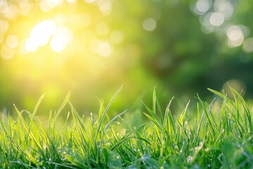 Close-up of dewy green grass with a blurred yellow and green background.