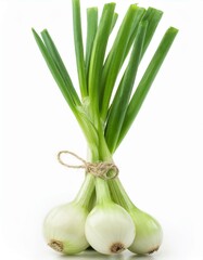 Fresh green onion isolated on white background.