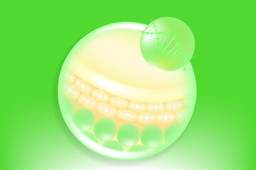 Hyaluronic acid and Niacinamide hair and skin solutions ad, green collagen serum drop with cosmetic advertising background ready to use, illustration vector.