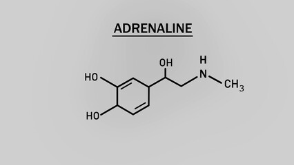 Adrenaline or epinephrine hormone chemical structure © Stock motion CK