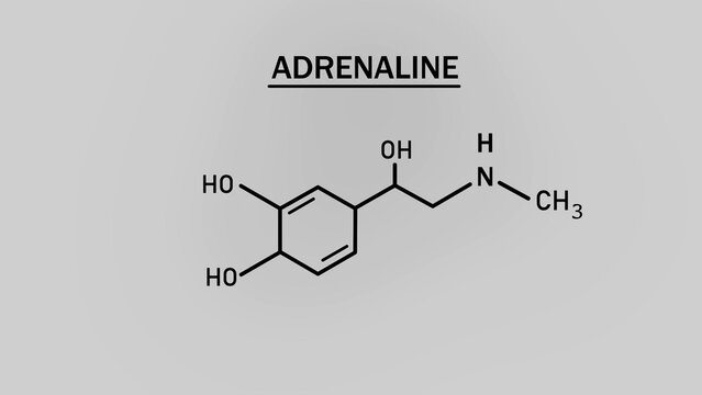 Adrenaline or epinephrine hormone chemical structure