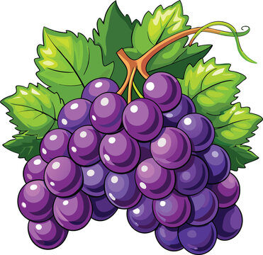 purple grapes bunch green leaves clip art preview