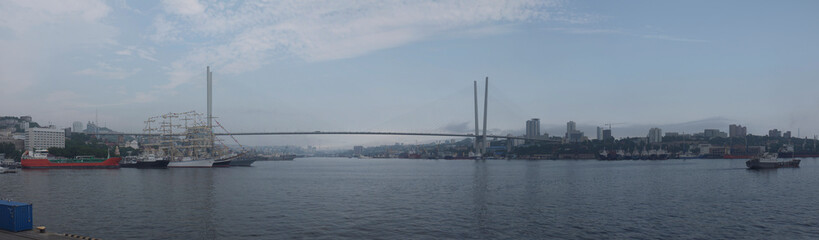 Harbour bridge with big sailing ships and cityscape panoramic view
