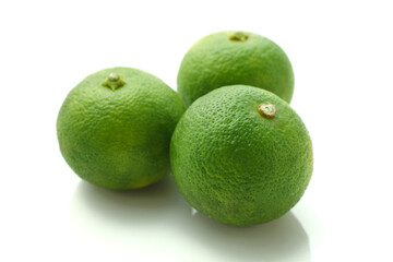 　　すだち　白バック