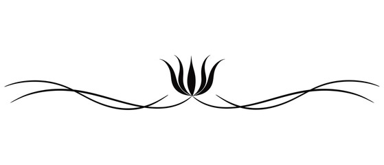 Black Text Divider Isolated on White