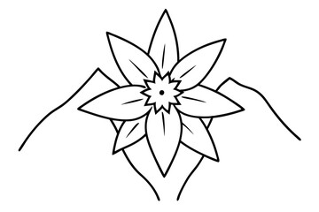 black and white flower isolated