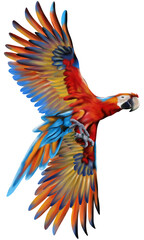 Fototapeta premium Hand drawn watercolor of parrot flying isolated on transparent background