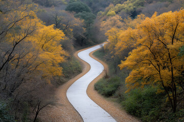 Fototapeta premium Winding road through autumn trees with yellow leaves on a scenic nature path