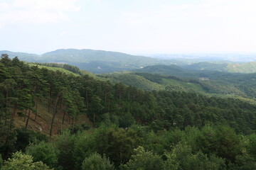 view from the mountain