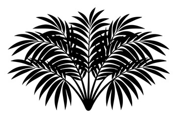 Tropical Palm Leaves Silhouette Featuring Large Arching Leaves in a Cluster