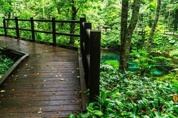 A wooden bridge across the Kaminoko Ike ( God's Son's Blue Pond) in Hokkaido, Japan