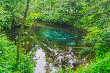 Kaminoko Ike ( God's Son's Blue Pond) in Hokkaido, Japan