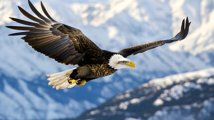 An eagle gracefully glides through the sky, framed by majestic snow-capped mountains in the distance.