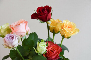 カラフルなばら