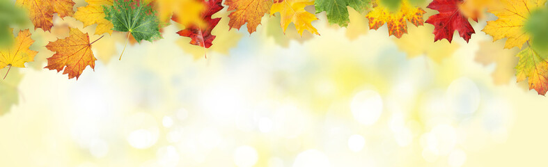 Autumn bokeh background featuring vibrant, colorful leaves with ample copy space
