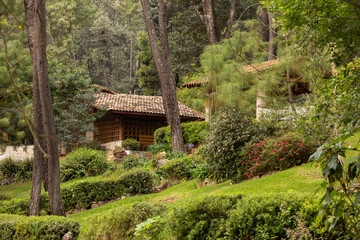 Afternoon view of cabins in a forest in Mazamitla, Jalisco, Mexico.