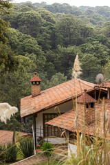 Afternoon view of cabins in a forest in Mazamitla, Jalisco, Mexico.