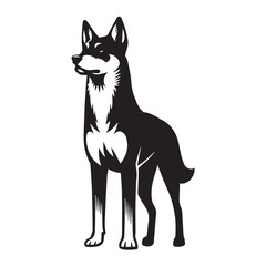 Obraz premium Canaan Dog Standing Vector illustration black and white