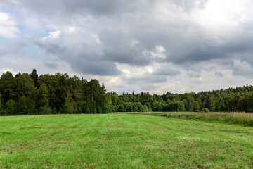 A large field of grass with a cloudy sky in the background